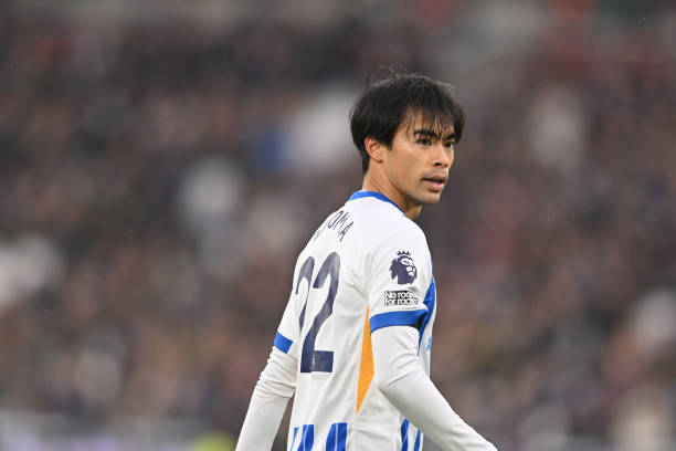 多样性和整 多样性和整